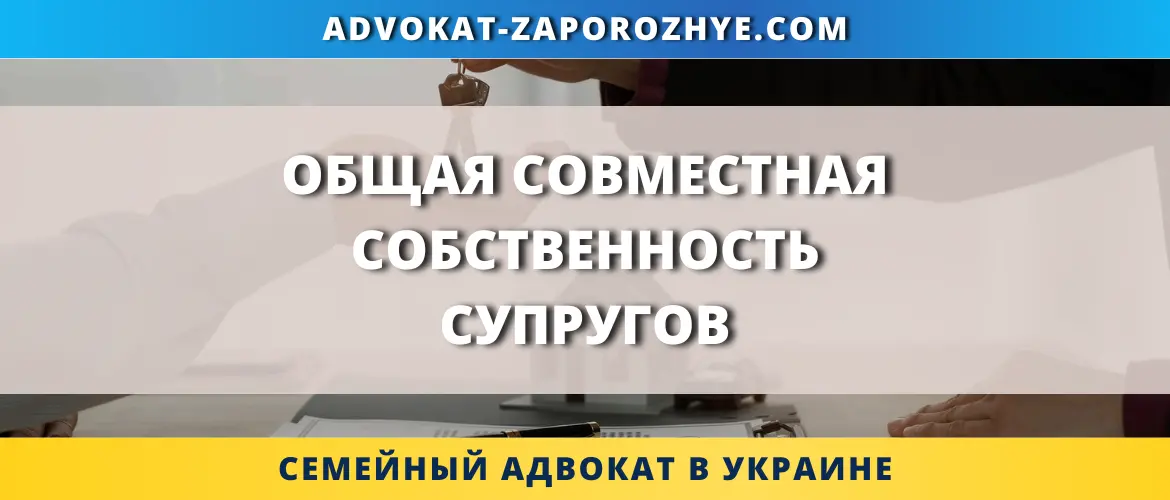 Общая совместная собственность супругов при разводе в Украине
