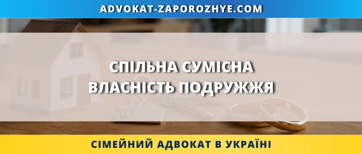 Спільна сумісна власність подружжя та правовий захист майна в Україні